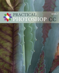 Title: Practical Photoshop CC Level 1: Practical Photoshop CC Level 1, Author: Donald Laird