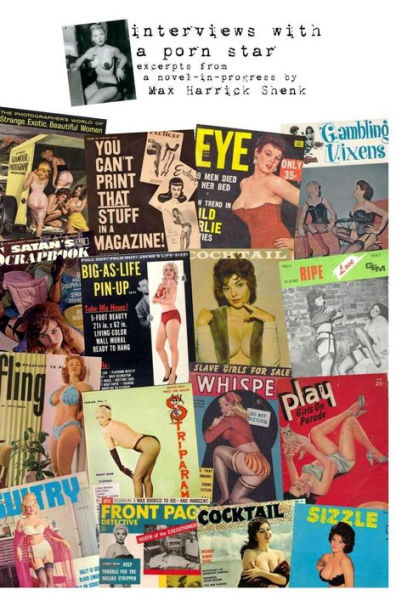 Interviews with a Porn Star: Excerpts from a novel in progress
