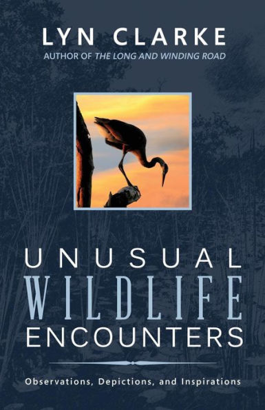 Unusual Wildlife Encounters: Observations, Depictions, and Inspirations