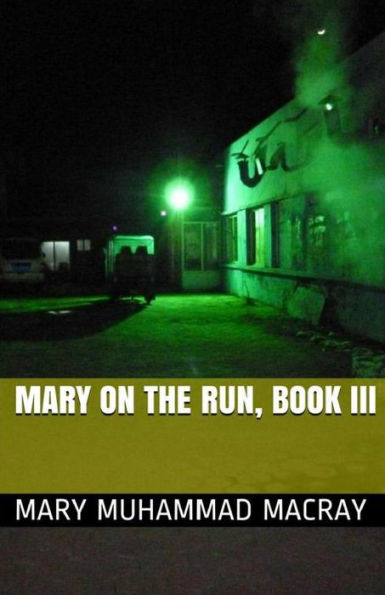 Mary On The Run: Book III