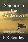 Sojourn in the Wilderness: The Ancient Wisdom of Moses and Jesus - Contending with the Corruption of the Empowered and the Delusions of the Oppressed
