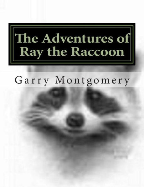 The Adventures of Ray the Raccoon