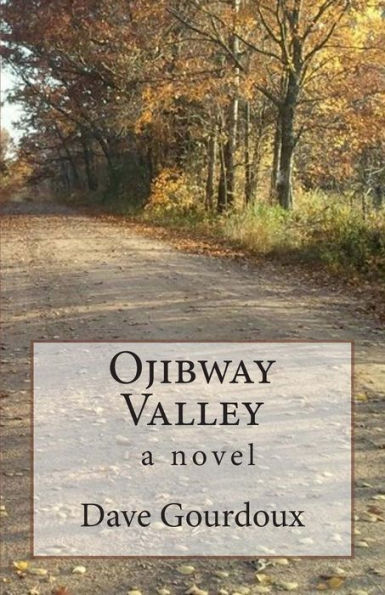 Ojibway Valley: a novel