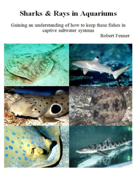 Sharks & Rays in Aquariums: Gaining an understanding of how to keep these fishes in captive saltwater systems