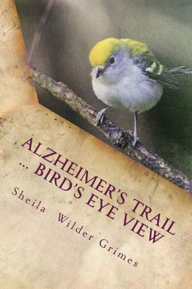 Alzheimer's Trail ... birds eye view: poems/prose