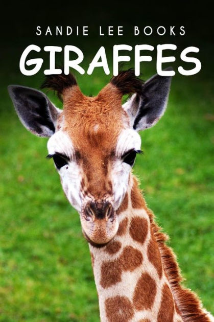 Giraffes - Sandie Lee Books by Curious Kids Press, Paperback | Barnes ...