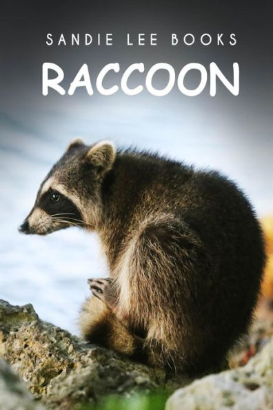 Raccoon - Sandie Lee Books