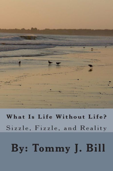 What Is Life Without Life: Sizzle, Frizzle, and Reality