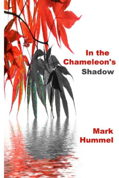 the Chameleon's Shadow