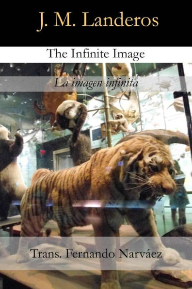 The Infinite Image: La imagen infinita