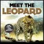 Meet The Leopard: Fun Facts & Cool Pictures