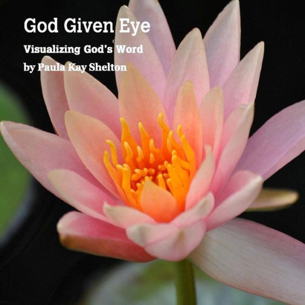 God Given Eye: Visualizing God's Word