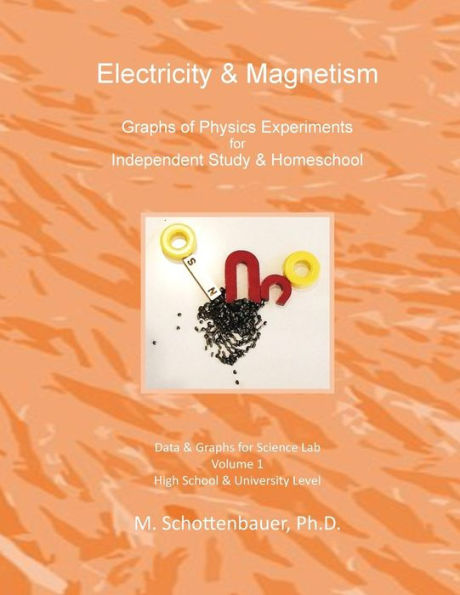 Electricity & Magnetism: Graphs of Physics Experiments for Independent Study & Homeschool