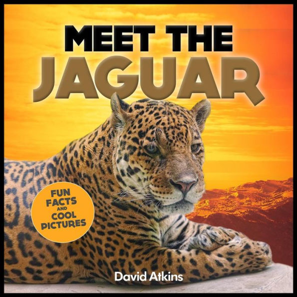 Meet The Jaguar: Fun Facts & Cool Pictures