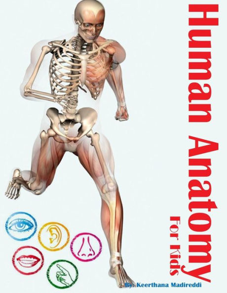 Human Anatomy for Kids