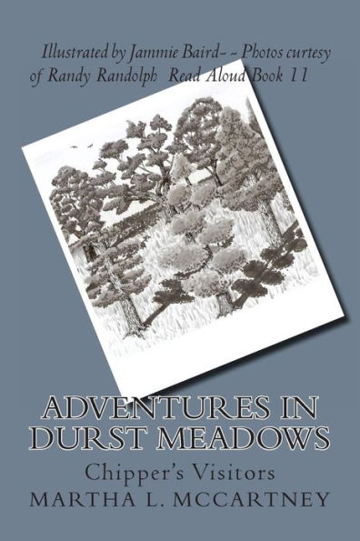 Adventures In Durst Meadows: Chipper's Visitors
