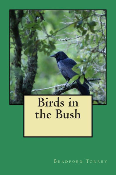 Birds in the Bush