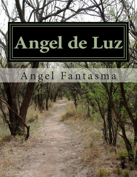 Angel de Luz: La historia de un angel en el mundo real