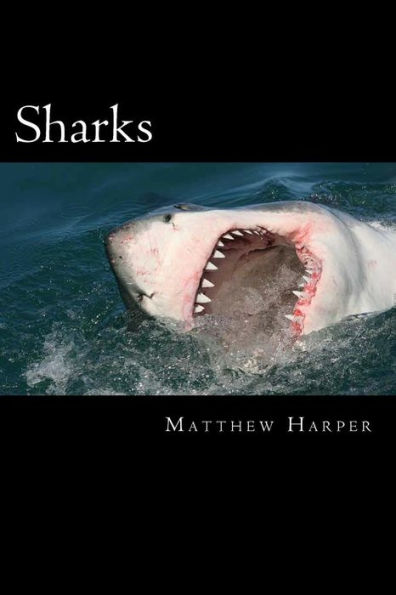 Sharks: A Fascinating Book Containing Shark Facts, Trivia, Images & Memory Recall Quiz: Suitable for Adults & Children