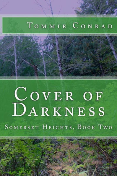 Cover of Darkness
