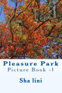 Pleasure Park: Picture Book -1