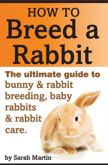 How to Breed a Rabbit: The Ultimate Guide to Bunny and Rabbit Breeding ...