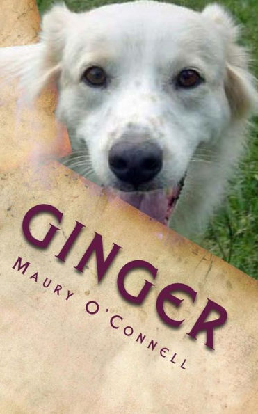 Ginger: Little Dog, Big Trouble