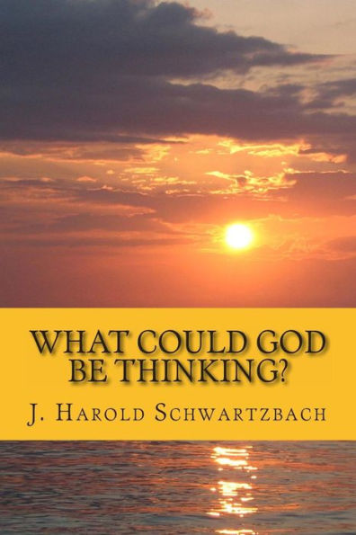 What Could God Be Thinking?