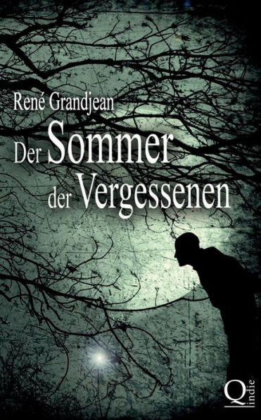 der Sommer Vergessenen: Band 1 von 2