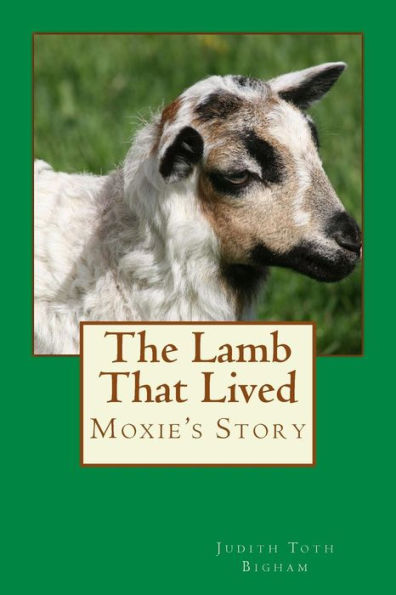 The Lamb That Lived --- MOXIE's Story