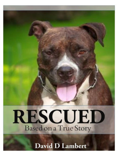 Rescued: Based on a True Dog Story