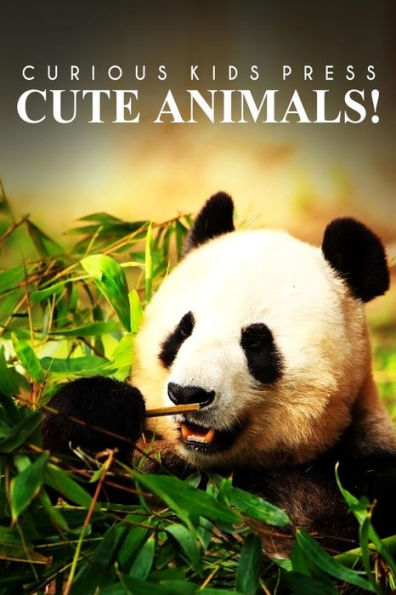 Cute Animals! - Curious Kids Press: (Picture book, Children's book about animals, Animal books for kids 5-7)