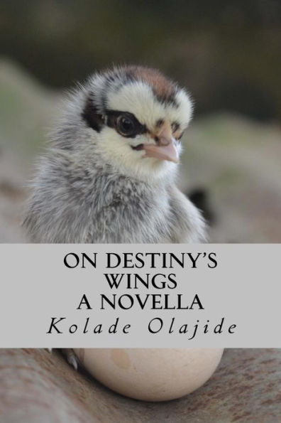 On Destiny's Wings: A Novella