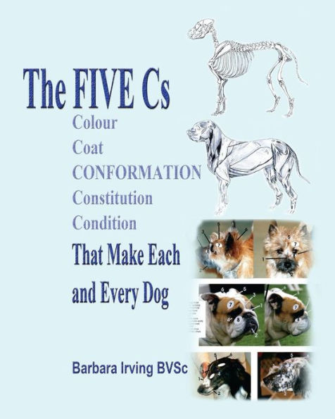 The Five Cs: That Make Each and Every Dog