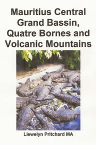 Title: Mauritius Central Grand Bassin, Quatre Bornes and Volcanic Mountains: Souvenir Bilduma bat argazki koloretan epigrafeekin, Author: Llewelyn Pritchard M.A.
