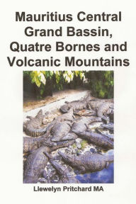 Title: Mauritius Central Grand Bassin, Quatre Bornes and Volcanic Mountains: A Souvenir Safn ljosmyndum i lit meo yfirskrift, Author: Llewelyn Pritchard M.A.