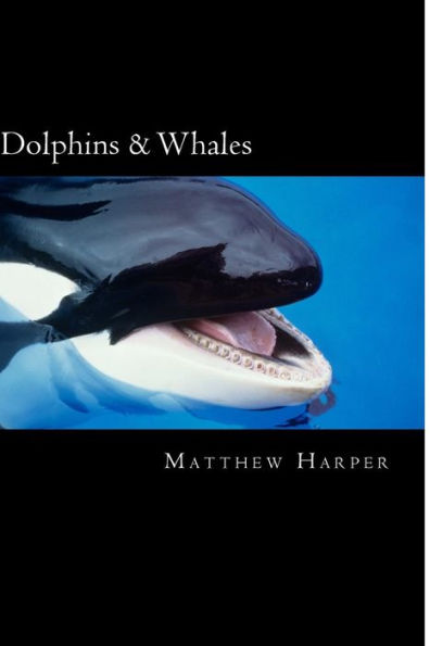 Dolphins & Whales: A Fascinating Book Containing Dolphin & Whale Facts, Trivia, Images & Memory Recall Quiz: Suitable for Adults & Children