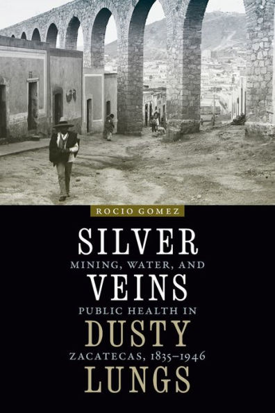 Silver Veins, Dusty Lungs: Mining, Water, and Public Health Zacatecas, 1835-1946