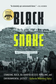 Title: Black Snake: Standing Rock, the Dakota Access Pipeline, and Environmental Justice, Author: Katherine Wiltenburg Todrys