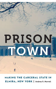 Download free pdf textbooks Prison Town: Making the Carceral State in Elmira, New York by Andrea R. Morrell