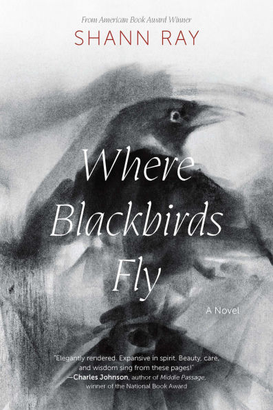 Where Blackbirds Fly: A Novel