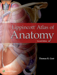 Title: Lippincott Atlas of Anatomy / Edition 2, Author: Thomas R. Gest PhD