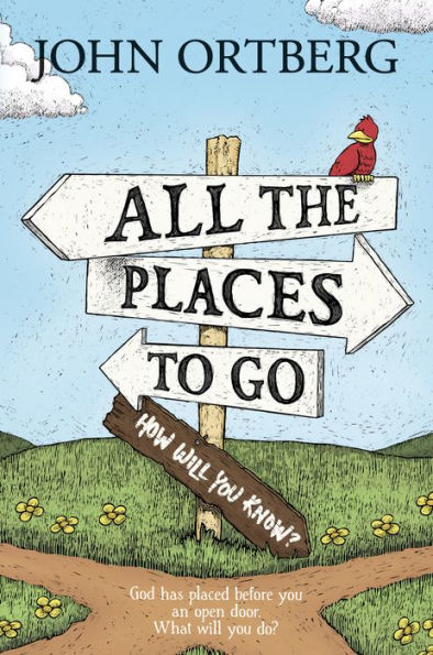 All the Places to Go . . . How Will You Know?: God Has Placed before You an Open Door. What Will You Do?