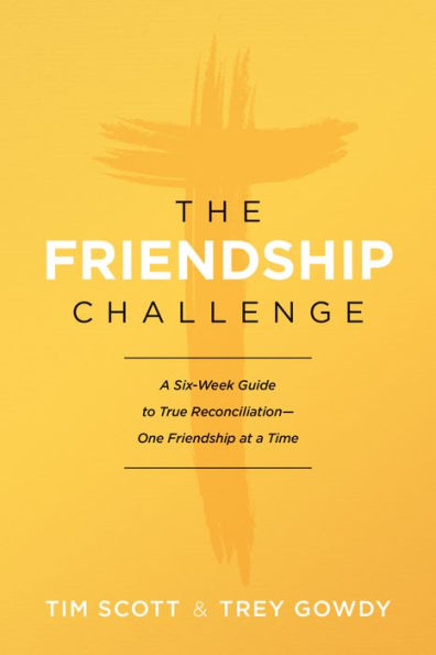 The Friendship Challenge: A Six-Week Guide to True Reconciliation--One Friendship at a Time