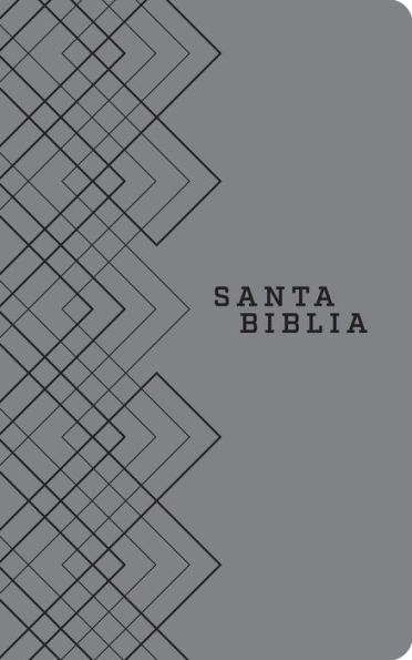 Santa Biblia NTV, Edición ágape (SentiPiel, Gris)