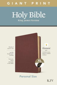 Title: KJV Personal Size Giant Print Bible, Filament Enabled (Genuine Leather, Burgundy, Indexed, Red Letter), Author: Tyndale