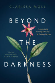 Easy book download free Beyond the Darkness: A Gentle Guide for Living with Grief and Thriving after Loss RTF 9781496458933 English version