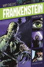 Frankenstein: A Graphic Novel