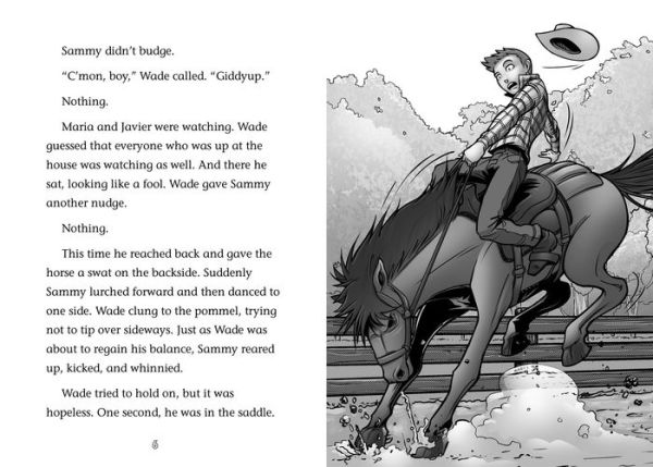 Rodeo Challenge