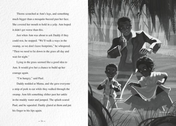 Ann Fights for Freedom: An Underground Railroad Survival Story